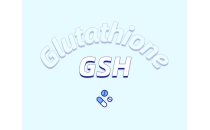 關(guān)注肝臟健康,了解谷胱甘肽